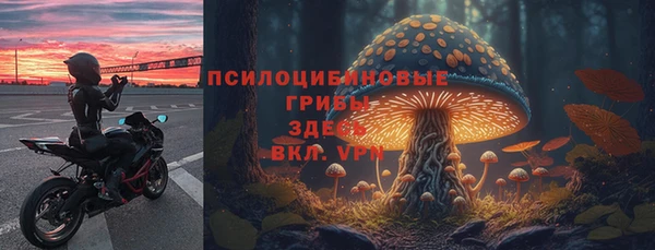 гидропоника Вяземский