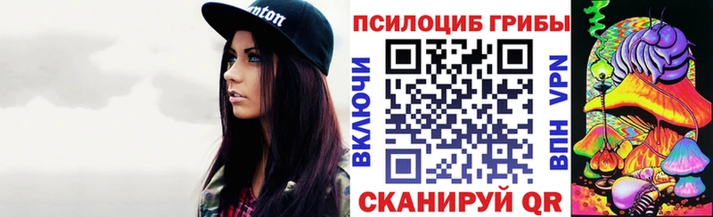 Галлюциногенные грибы MAGIC MUSHROOMS  наркота  Новочебоксарск 